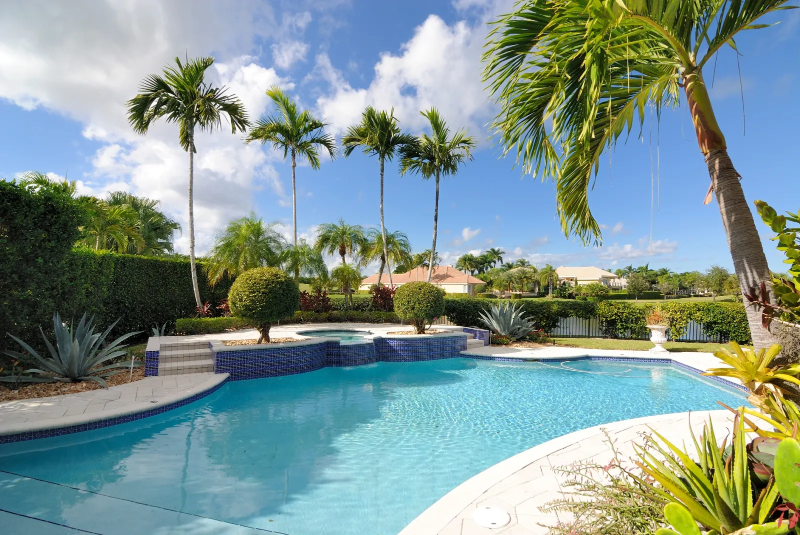 backyard-pool-florida