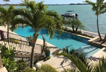 palm-tree-with-pool.